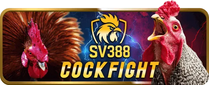 Hướng dẫn và mẹo chơi juun88 win